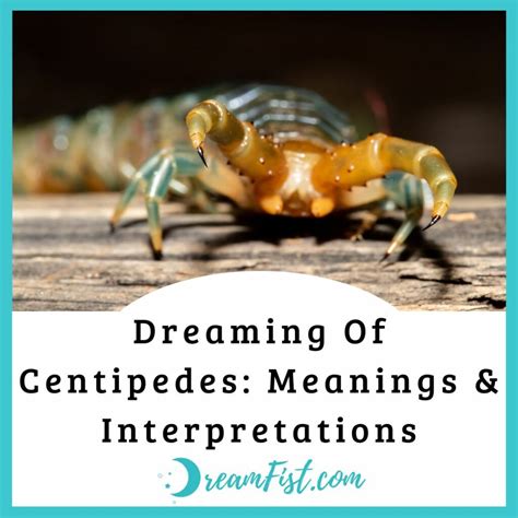 dream with centipede|Dreaming About Centipedes: Meanings And Interpretations.